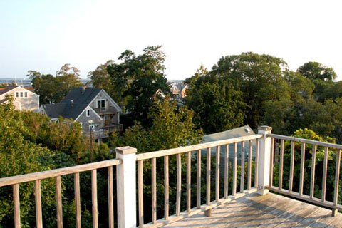 balcony, breast rail, trees and neighbouring rooftops